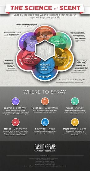 The Science Of Scent Infographic Perfume Hacks, Gym Bro, Essential Oil Perfumes Recipes, Avon Fragrance, Homemade Scented Candles, Perfume Recipes, Perfume Making, Healthy Oils, Perfume Scents