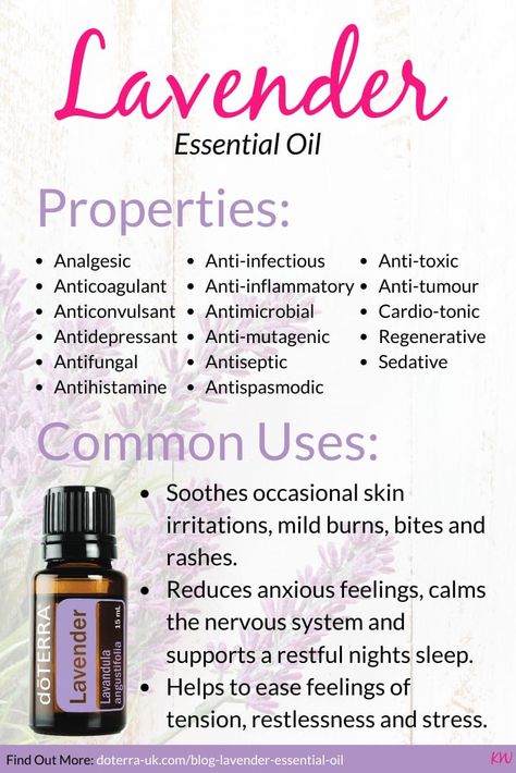 Lavender Essential Oil Uses, Essential Oils Properties, Doterra Lavender, Essential Oils Collection, Doterra Essential Oils Recipes, Essential Oils Guide, Essential Oils Herbs, Essential Oils Health, Essential Oil Blends Recipes