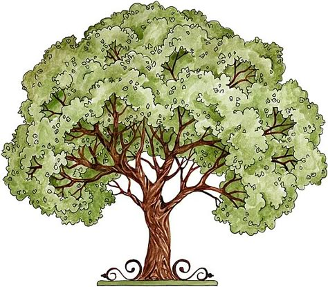 Family Tree Art, Tree Clipart, Tree Illustration, Tree Drawing, Tree Art, Tree Painting, Family Tree, A Tree, Watercolor Art