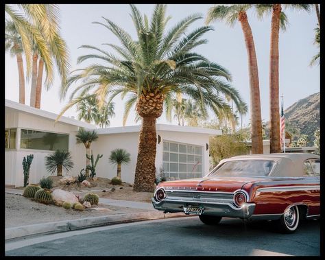 Simon Byrne on Instagram: “one last shot from palm springs 🚗🌴” Palm Springs Movie, Palm Springs Instagram, Palm Springs Graphic, Palm Springs Photography, Palm Springs Vintage, Palm Springs Aesthetic, Palm Springs Vintage Photography, Palm Springs Architecture, Palm Springs Houses