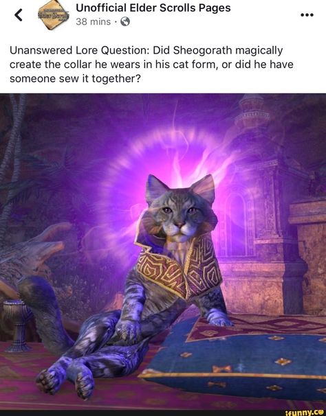 38 mins 6 Unanswered Lore Question: Did Sheogorath magically create the collar he wears in his cat form, or did he have someone sew it together? – popular memes on the site iFunny.co #elderscrolls #gaming #elderscrolls #eso #mins #unanswered #lore #did #sheogorath #magically #create #wears #cat #form #sew #pic Elder Scrolls 6, Elder Scrolls Memes, Elder Scrolls Games, Chasing Butterflies, Elder Scrolls Art, Bethesda Games, Gaming Memes, Funny Animal Memes, Elder Scrolls