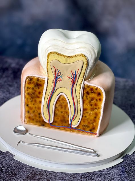 Dentistry Cake Ideas, Tooth Cake Dental, Dental Cake Ideas, Dental Cake, Dentist Cake, Doctor Cake, Tooth Cake, Photo Cake Topper, Cupcake Decorating Tips