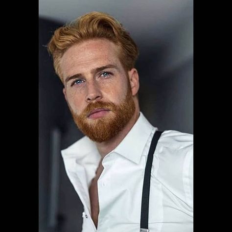 Male Photography Inspiration on Instagram: “Ginger & matured #ginger #gingerhair #gingerbeard #gingerman #redhair #redhaired #redbeard #mature #beard #bearded #buttonup #buttondown…” Ginger Hair Men, Red Hair Men, Man With A Beard, Redhead Men, Ginger Beard, Ginger Men, Man Men, British Men, Character Reference