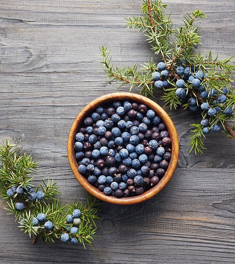 Making Skin Care Products, Juniper Essential Oil, Juniper Berry Essential Oil, Juniperus Communis, Chemical Compounds, Berry Tea, Tea Making, Juniper Berries, Juniper Berry