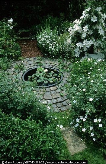 Taman Air, Pinterest Garden, Small Pond, Landscape Edging, Garden Types, Moon Garden, Have Inspiration, The Secret Garden, Water Features In The Garden