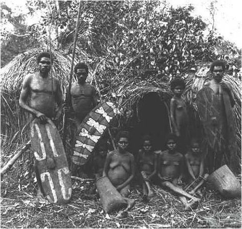 Rainforest Aboriginal people, c1890 | Queensland Historical Atlas Aboriginal Photography, Australian Aboriginal History, Stone Age People, Indigenous Australia, Australian Aboriginals, Australian People, Indigenous History, Aboriginal Australia, Indigenous Education