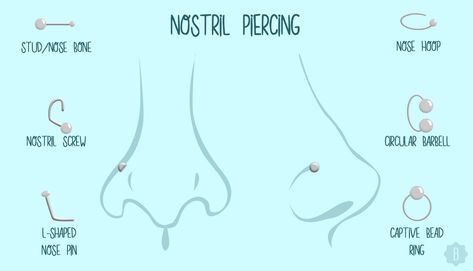 7 Popular Types Of Nose Piercings & Their Corresponding Jewelry Because Septums Aren't Everything Types Of Nose Piercings, Nose Piercing Placement, Nose Piercing Tips, Types Of Nose, Skin Piercing, Double Nose Piercing, Ear Peircings, Cute Nose Piercings, Ear Piercings Chart