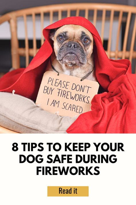 More dogs go missing during fireworks celebrations than any other time. Here are 8 tips to keep your dog safe! Dogs And Fireworks Tips, Dogs And Fireworks, Dog Sleeping Positions, Top 10 Dog Breeds, Dog Top, Calm Dogs, Dog Facts, Best Dog Breeds, Loud Noises