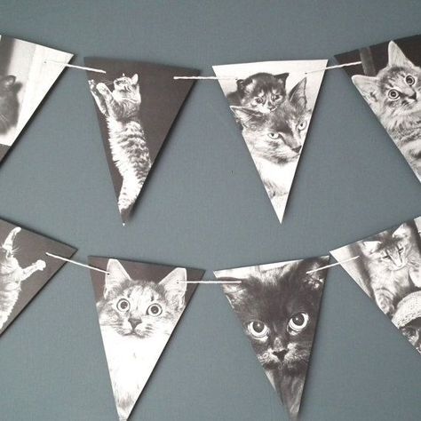 Book Bunting, Cat Garland, Cat Lady Birthday, Cat Themed Parties, Cat Themed Birthday Party, Photo Garland, Party Cat, Kitten Party, Kitten Birthday