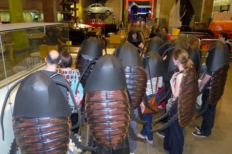 ’Roach tour | Tonight Abby, Andy and I went to Science Museu… | Flickr Insect Costume, Science Museum, Fire Fits, Meme Template, Anime Kawaii, Point Of View, Jojo's Bizarre Adventure, Reaction Pictures, Funny Photos