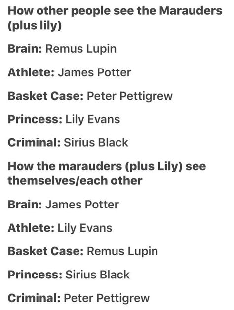 Bottom Sirius Black Wolfstar, Bottom Sirius Black, Character Stereotypes, Scorpius And Rose, Harry Potter Memes Hilarious, Harry Potter Puns, Yer A Wizard Harry, Harry Potter Headcannons, Lily Evans