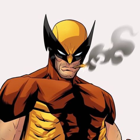 Wolverine Comic Art, Logan Movies, Old Man Logan, Wolverine Comic, Wolverine Art, Marvel Drawings, Logan Wolverine, Wolverine Marvel, Deadpool Wolverine