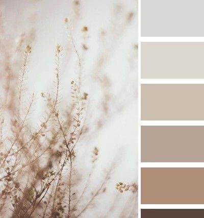 Beige Home Color Palette, Guest Bedroom Colors Colour Palettes, Balanced Beige Color Scheme, Cozy Kitchen Colors, Nude Color Palette, Soft Autumn Color Palette, Cream Color Scheme, Textured Wall Panels, Beige Color Palette