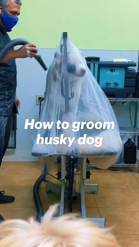 Dog Groomer Accessories, Dog Groomer Home Salon, Dog Groom Room Ideas, Groomer Organization, Dog Grooming Floor Plans, Dog Grooming Salon Layout, Grooming Ideas For Dogs, Dogs Grooming Salon, Diy Dog Grooming Room