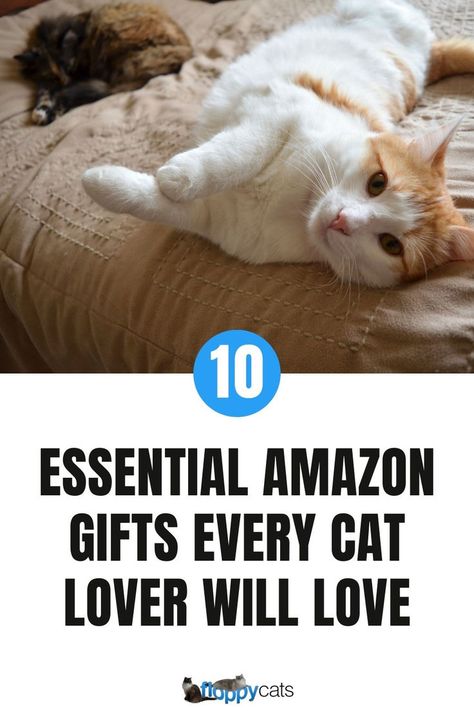 Check out these 10 must-have Amazon that'll be perfect for this holiday gift! From cat-themed home decor and cat gadgets to practical pet care items, this list has something for every cat parent. Discover unique and thoughtful gifts that will make them purr with joy. Cat Gifts For People, Cat People Gifts, Cat Gadgets, Large Cat Breeds, Cats Happy, Cat Christmas Gift, Cat Themed Gifts, Gifts For Cat Lovers, Cat Lover Shirt