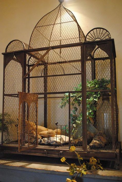 I actually want a bird cage this big, and a few birds to put in it ... Bird Cage Ideas, Big Bird Cage, Bird Cage Design, Antique Bird Cages, Pet Bird Cage, The Caged Bird Sings, Aquarium Terrarium, Birds Singing, Cubby House