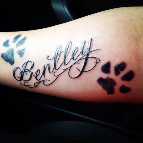 Bentley Tattoo #Paw Print Tattoo Bentley Tattoo, Bentley Name, Tattoo Paw Print, Tattoo Paw, Window Frame Crafts, Pawprint Tattoo, Tattoo Name, Dog Paw Print, Ink Ideas