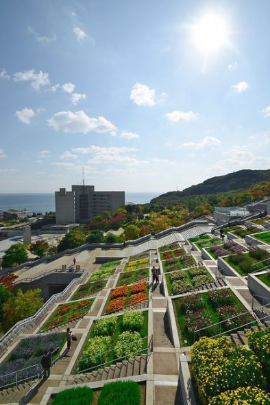 landscaping a sloped site Green Landscape Architecture, Valley Landscape Design, Terraced Gardens, Japanese Spa, Terraced Garden, Hyogo Japan, Landscaping A Slope, Japan Landscape, Japan Garden