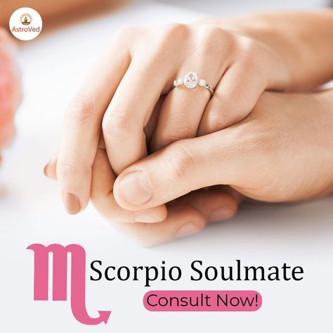 Looking for the best match for Scorpio zodiac sign people? The right way to get your soulmate is through proper astrological guidance and spiritual initiation. Scorpio Soulmate, Best Life Partner, Soulmate Signs, Scorpio Man, Libra Zodiac Sign, Scorpio Zodiac Sign, Best Match, Scorpio Men, Life Partner