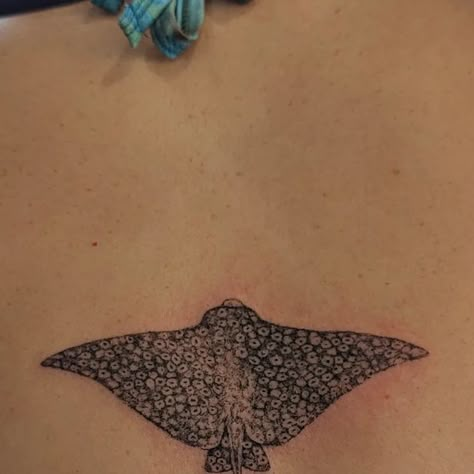 Eagle Ray Tattoo Design, Stink Ray Tattoo, Ray Back Tattoo, Stingray Tattoo Back, Sting Ray Tatoos, Spotted Eagle Ray Tattoo Design, Stingray Sternum Tattoo, Small Sting Ray Tattoos, Stingray Back Tattoo