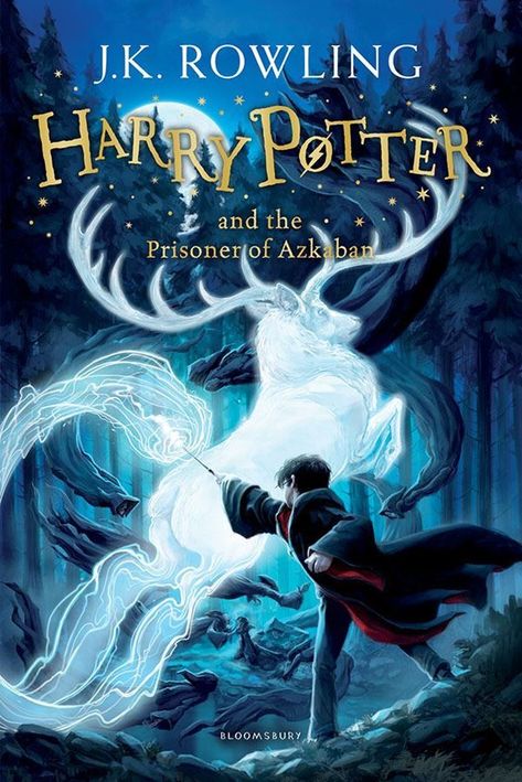 7 Beautiful Harry Potter Book Collections That Will Make Your Bookshelf Magical Prisoner Of Azkaban Book, Harry Potter Book Covers, Hp Book, Secret Passages, Harry Potter Poster, Harry Potter Illustrations, Rowling Harry Potter, Kids Book Series, Buku Harry Potter