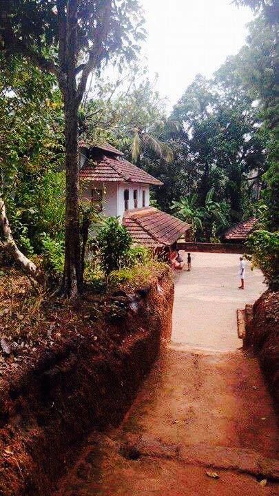 Traditional House Kerala Traditional House, Indian Houses, Kerala Architecture, House Design Exterior, Kerala Houses, Village Photography, Sky Photography Nature, Minimal House Design, Traditional Houses