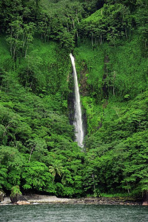 Cocos Island Costa Rica, Island Waterfall, Jungle Waterfall, Waterfall Island, Cocos Island, Costa Rica Travel, Dream Beach, 3d Background, Countries Around The World