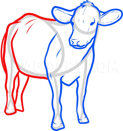 Cow Drawing Easy, Draw A Cow, Cow Drawing, Face Painting Easy, Cow Pictures, Drawing Faces, Farm Art, Cow Painting, Face Painting Designs