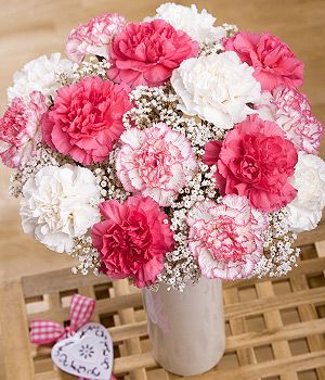 Flowers Carnations Bouquet, Pink Carnation Wedding Bouquet, Pink Carnation Bouquet, Beautiful Carnations, Carnation Bridal Bouquet, Carnation Wedding, Purple Carnations, Unique Wedding Bouquet, Carnation Bouquet