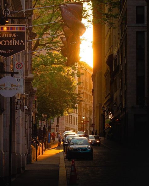 A Montreal street Montreal At Night, Montreal Photography, Outdoor Editorial, Montreal Neighborhoods, Montreal Old Town, Old Montreal Photography, Buildings Photography, Old Montreal, Of Montreal