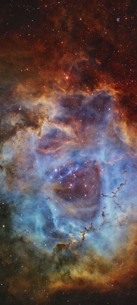 Pictures Of Planets, Solar Nebula, Space Telescope Images, Rosette Nebula, Nebula Wallpaper, Telescope Images, Galaxies Wallpaper, Starry Starry Night, Stranger Things Poster