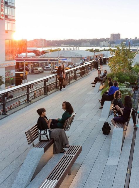 The High Line New York High Line, Master Thesis, Public Seating, Urban Park, Frank Gehry, Urban Furniture, Pedestrian Bridge, Public Park, High Line