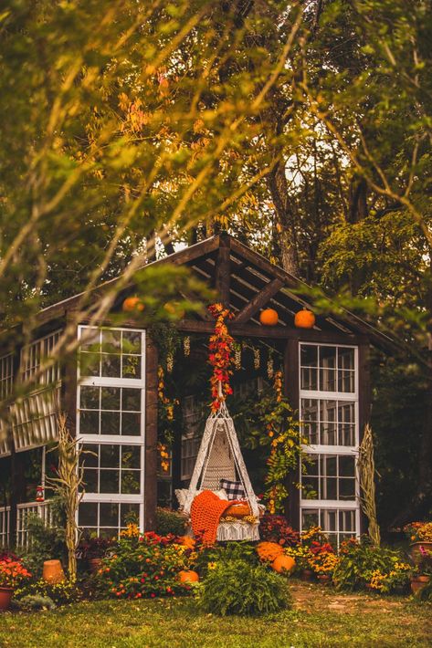 Green House Wedding Venues, Green House Wedding, Tiny Wedding Venues, Wedding Venue Virginia, Vaughan House, House Greenhouse, Eden Garden, Garden Houses, Greenhouse Shed