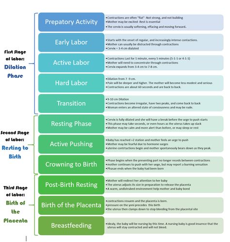 Phases of Labor Labor Phases, Labor Stages, Baby Preparation Checklist, Phases Of Labor, Birth Positions, Normal Birth, Newborn Advice, Labor Prep, Midwifery Student