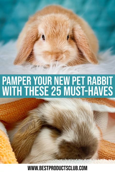 Pet Bunny Must Haves, Bunny Habitats Indoor, Rabbit Must Haves, Bunny Must Haves, Rabbit Hacks, Rabbit Bed, Bunny Bed, Indoor Bunny Habitat, Pet Bunny Set Up