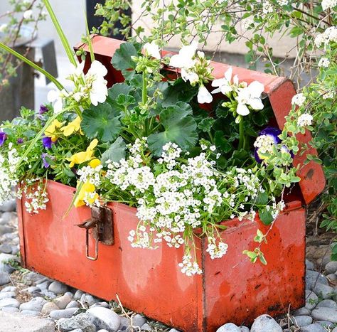 Tool Box Planter, Metal Tool Box Repurposed, Vintage Tool Box Decor Ideas, Repurposed Flower Planters, Old Tool Box Decor Ideas, Metal Tool Box Ideas, Repurposed Planter Ideas, Toolbox Planter, Repurposed Planter