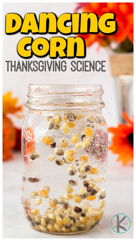 Looking for a fun thanksgiving science idea? This dancing corn is a perfect fall science activity with a harvest theme. In this simple baking soda and vinegar experiment children will get to observe a fun reaction that will cause the corn to appear to dance. Try this thanskgiving science experiments with toddler, preschool, pre-k, kindergarten, and first graders too. Dancing Popcorn Experiment, Dancing Popcorn, Turkey Science, Dancing Corn, Thanksgiving Science, Corn Thanksgiving, Harvest Activities, Thanksgiving Math Activities, Thanksgiving Activities Preschool