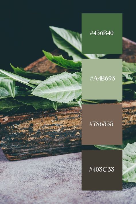 Pista Green Combination Colours, Green And Brown Palette, Green And Brown Color Palette, Color Scheme Generator, Color Generator, Color Theory Art, Wooden Container, Green Color Combinations, Aged Wood