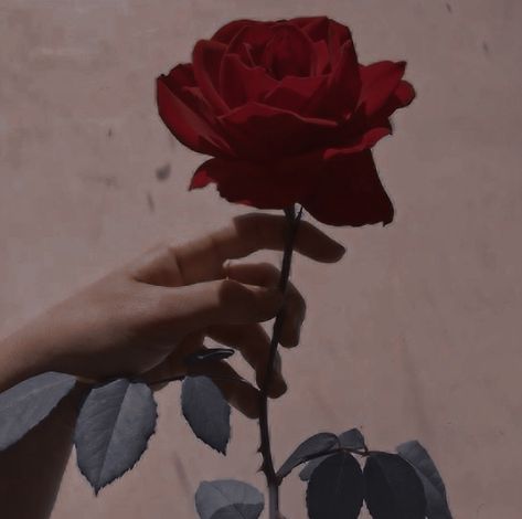 Evelynn League Of Legends, Rosé Aesthetic, Fantastic Beasts And Where, Modern Disney, Hand Holding, Aesthetic Images, 인물 사진, Red Aesthetic, Character Aesthetic