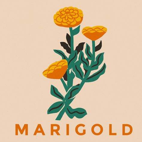 Marigold Marigold Print, 달력 디자인, Border Print, Sign Printing, Floral Illustrations, New Wall, Botanical Illustration, Wall Collage, Digital Illustration