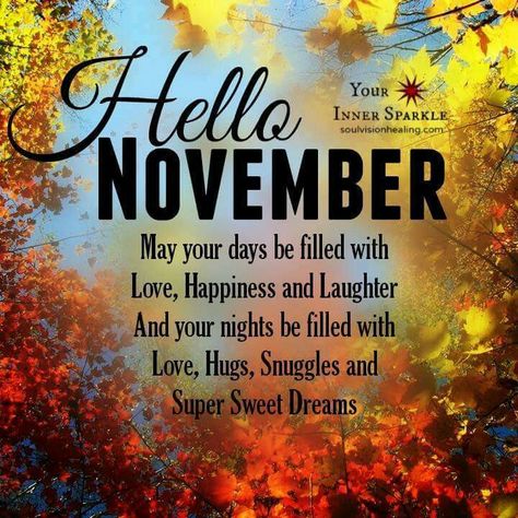 Time for family gatherings and giving thanks for all those we love ...and in all things be grateful Welcome November Quotes, Sweet November Quotes, Hello November Quotes, Happy New Month November, November Pictures, Happy New Month Quotes, New Month Wishes, New Month Quotes, Welcome November