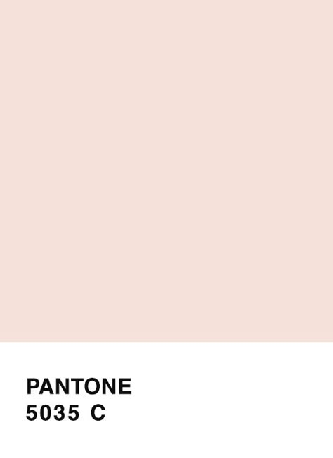 Dusty Peach Color, Pale Peach Paint Color, Light Peach Wall Color, Pale Pink Walls, Peach Paint Colors, Bridal Suite Decor, Pale Peach Color, Coffee House Design, Rose Smith