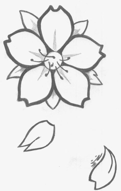 Cherry Blossom Drawing, Japanese Tattoo Symbols, Japanese Drawings, Blossom Tattoo, Cherry Blossom Tattoo, Cherry Blossom Art, Sakura Flower, Cherry Blossom Flowers, Desenho Tattoo