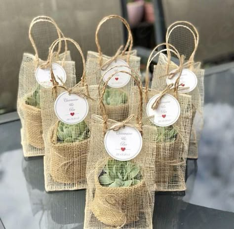 Brunch Decorations Table Centerpieces, Simple Wedding Favors, Creative Wedding Favors, Succulent Wedding Favors, Simple Wedding Decorations, Wedding Favors And Gifts, Gifts For Guests, Wedding Favors Cheap, Return Gifts