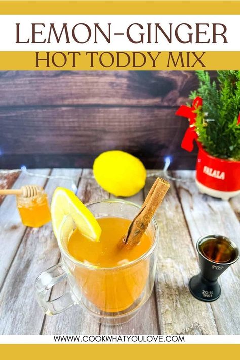 A mug of hot apple cider with cinnamon sticks and lemon slices. Slow Cooker Hot Toddy Recipe, Hot Toddy Recipe For Colds, Christmas Mocktail, Hot Toddy Recipe, Remedy For Cold, Christmas Mocktails, Toddy Recipe, Ginger Cocktails, Hot Toddies Recipe