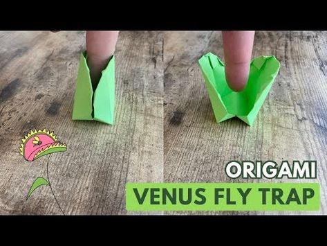 ORIGAMI VENUS FLY TRAP PLANT PAPER TOY TUTORIAL | FUN DIY CRAFT TUTORIAL STEP BY STEP FINGER TRAP - YouTube Paper Venus Fly Trap, Venus Fly Trap Craft, Diy Venus Fly Trap, Venus Fly Trap Plant, Fly Trap Plant, Plant Paper, Fly Trap, Paper Weaving, Venus Fly Trap