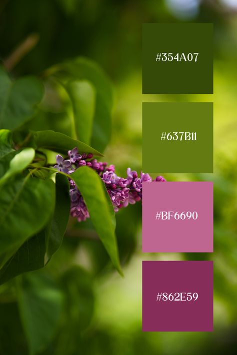 Green and Lavender Color Palette: Soft purple blossoms nestled within lush green foliage, offering a delicate and harmonious blend of colors. Plum And Mint Green Color Schemes, Green Palette Colour, Purple And Green Colour Palette, Color Combinations With Green, Kelly Green Color Palette, Green Purple Color Palette, Purple And Green Palette, Color Palette With Green, Purple And Green Color Palette