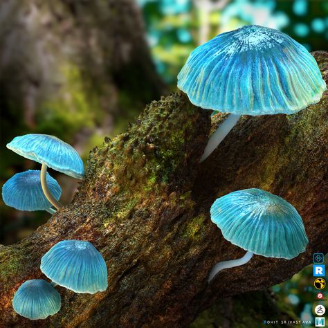 Mushrooms Pretty, Mushroom Beautiful, Pretty Mushrooms, Blue Mushrooms, Blue Mushroom, Mushroom Images, Mushroom Plant, Mushroom Pictures, Mushroom Crafts