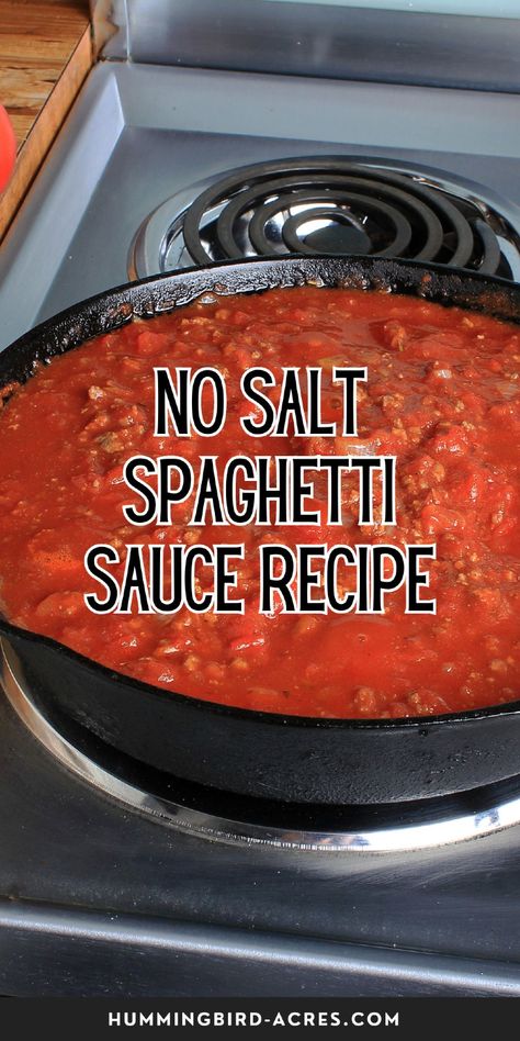 Whether you’re watching your sodium intake or just want a healthy alternative, this no salt spaghetti sauce is the perfect recipe! Low Sodium Homemade Spaghetti Sauce, No Salt Spaghetti Sauce Recipe, Low Sodium Spaghetti, Low Sodium Spaghetti Sauce, Making Spaghetti Sauce, Making Spaghetti, Homemade Spaghetti Sauce Recipe, Canned Spaghetti Sauce, Sodium Intake