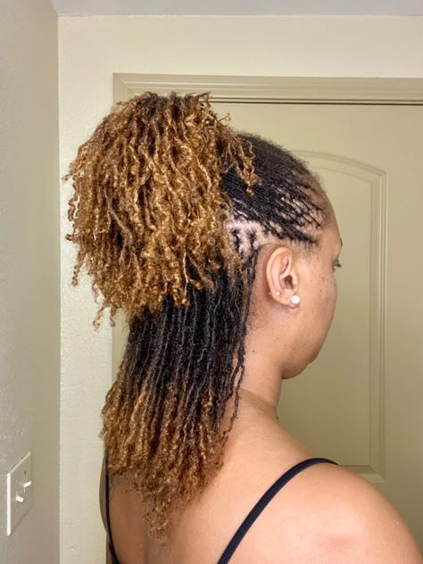 Honey Blond Micro Locs, Sister Locs With Color, Microloc Twist Extensions, Honey Blonde Micro Locs, Micro Locs With Color, Mirco Locs Extensions, Colored Microlocs Black Women, Microlocs Curly Ends, Sister Locs Styles Short